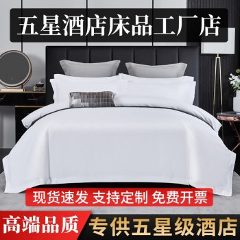 五星级酒店宾馆民宿白...